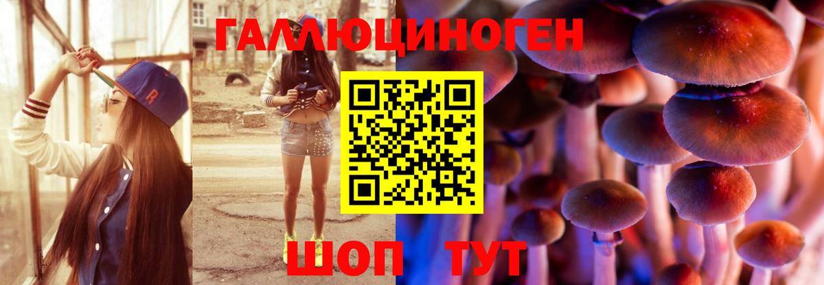 Галлюциногенные грибы Cubensis Елабуга